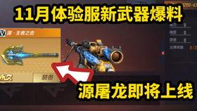 手游体验服最新爆料,神秘新角色登场，战斗系统革新来袭！