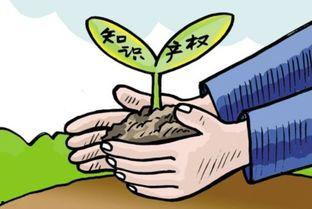 保利民宿爆料案例最新消息,最新进展揭秘行业乱象