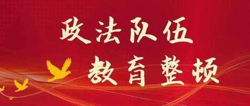 山东爆料最新新闻报道内容,聚焦重大事件背后的真相与影响