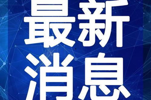黑猫网红爆料视频大全最新,揭秘网络红人幕后真相